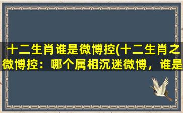 十二生肖谁是微博控(十二生肖之微博控：哪个属相沉迷微博，谁是“微博掌门人”？)