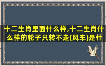 十二生肖里面什么样,十二生肖什么样的轮子只转不走(风车)是什么动物