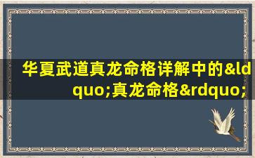 华夏武道真龙命格详解中的“真龙命格”具体含义是什么