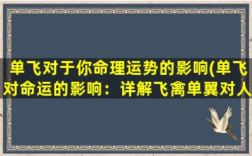 单飞对于你命理运势的影响(单飞对命运的影响：详解飞禽单翼对人的命运和运势的影响)