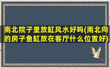 南北院子里放缸风水好吗(南北向的房子鱼缸放在客厅什么位置好)