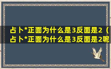 占卜*正面为什么是3反面是2（占卜*正面为什么是3反面是2呢）