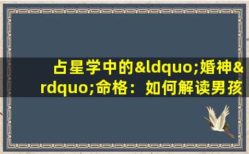 占星学中的“婚神”命格：如何解读男孩的婚姻运势