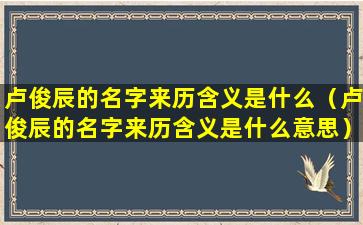 卢俊辰的名字来历含义是什么（卢俊辰的名字来历含义是什么意思）