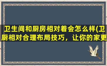 卫生间和厨房相对着会怎么样(卫厨相对合理布局技巧，让你的家更舒适)