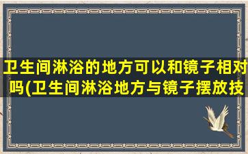 卫生间淋浴的地方可以和镜子相对吗(卫生间淋浴地方与镜子摆放技巧分享，让你的家更舒适)