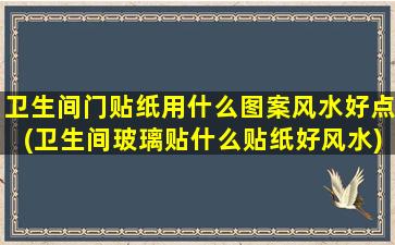 卫生间门贴纸用什么图案风水好点(卫生间玻璃贴什么贴纸好风水)