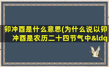 卯冲酉是什么意思(为什么说以卯冲酉是农历二十四节气中“公诸同好”的特别日子？)