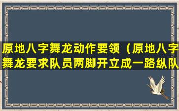 原地八字舞龙动作要领（原地八字舞龙要求队员两脚开立成一路纵队站立）