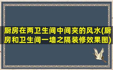 厨房在两卫生间中间夹的风水(厨房和卫生间一墙之隔装修效果图)