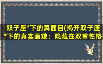 双子座*下的真面目(揭开双子座*下的真实面貌：隐藏在双重性格后的性格特征)