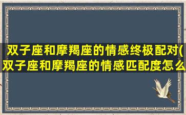 双子座和摩羯座的情感终极配对(双子座和摩羯座的情感匹配度怎么样？)