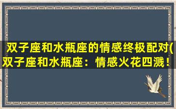 双子座和水瓶座的情感终极配对(双子座和水瓶座：情感火花四溅！)