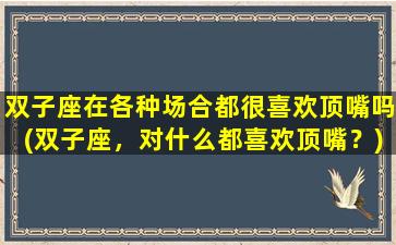 双子座在各种场合都很喜欢顶嘴吗(双子座，对什么都喜欢顶嘴？)