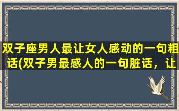 双子座男人最让女人感动的一句粗话(双子男最感人的一句脏话，让女人热泪盈眶！)