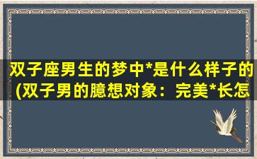 双子座男生的梦中*是什么样子的(双子男的臆想对象：完美*长怎样？)