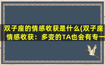 双子座的情感收获是什么(双子座情感收获：多变的TA也会有专一的爱)