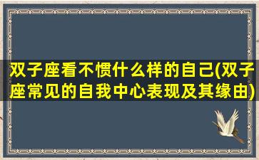 双子座看不惯什么样的自己(双子座常见的自我中心表现及其缘由)