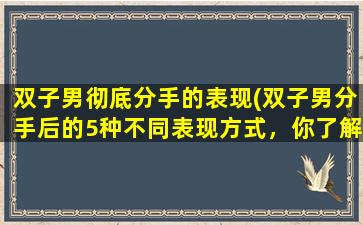 双子男彻底分手的表现(双子男分手后的5种不同表现方式，你了解吗？)