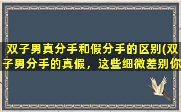 双子男真分手和假分手的区别(双子男分手的真假，这些细微差别你都知道吗？)