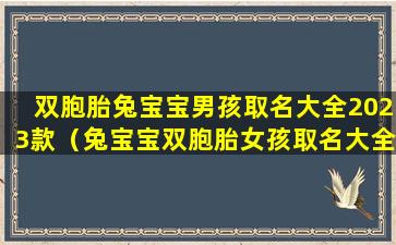 双胞胎兔宝宝男孩取名大全2023款（兔宝宝双胞胎女孩取名大全2023款男孩）