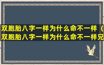 双胞胎八字一样为什么命不一样（双胞胎八字一样为什么命不一样兄弟宫）