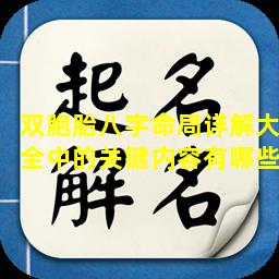 双胞胎八字命局详解大全中的关键内容有哪些