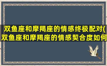 双鱼座和摩羯座的情感终极配对(双鱼座和摩羯座的情感契合度如何？)