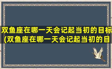 双鱼座在哪一天会记起当初的目标(双鱼座在哪一天会记起当初的目标呢）