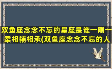 双鱼座念念不忘的星座是谁一刚一柔相辅相承(双鱼座念念不忘的人）