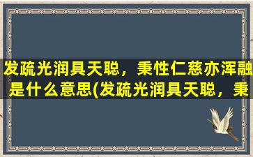 发疏光润具天聪，秉性仁慈亦浑融是什么意思(发疏光润具天聪，秉性仁慈亦浑融-探寻完美内外在)