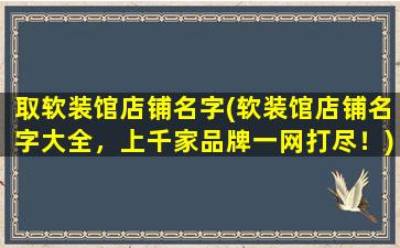 取软装馆店铺名字(软装馆店铺名字大全，上千家品牌一网打尽！)