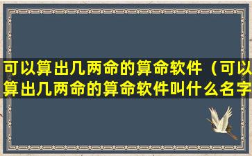 可以算出几两命的算命软件（可以算出几两命的算命软件叫什么名字）