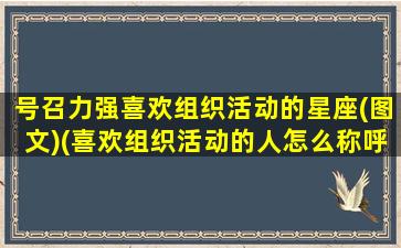 号召力强喜欢组织活动的星座(图文)(喜欢组织活动的人怎么称呼）