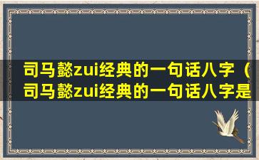 司马懿zui经典的一句话八字（司马懿zui经典的一句话八字是什么）