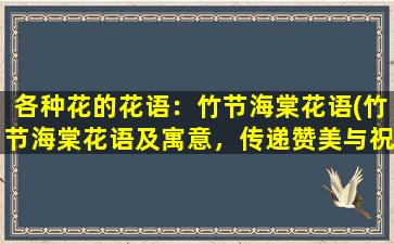 各种花的花语：竹节海棠花语(竹节海棠花语及寓意，传递赞美与祝福)