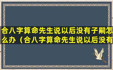 合八字算命先生说以后没有子嗣怎么办（合八字算命先生说以后没有子嗣怎么办呢）