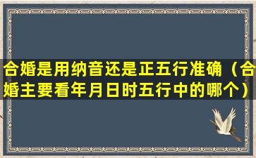 合婚是用纳音还是正五行准确（合婚主要看年月日时五行中的哪个）