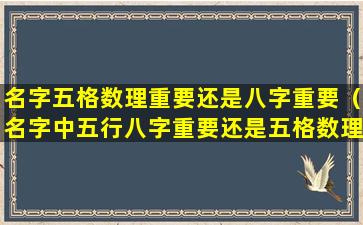 名字五格数理重要还是八字重要（名字中五行八字重要还是五格数理重要）