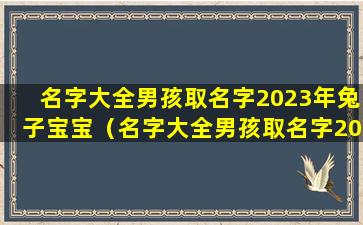 名字大全男孩取名字2023年兔子宝宝（名字大全男孩取名字2023年兔子宝宝好吗）