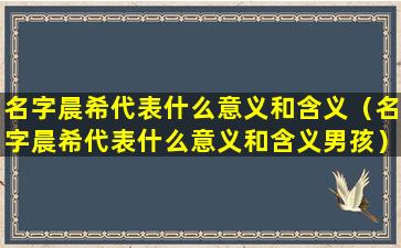 名字晨希代表什么意义和含义（名字晨希代表什么意义和含义男孩）