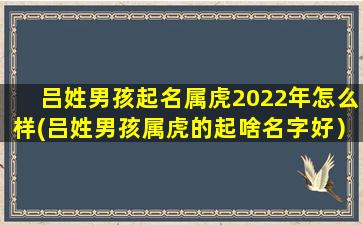 吕姓男孩起名属虎2022年怎么样(吕姓男孩属虎的起啥名字好）