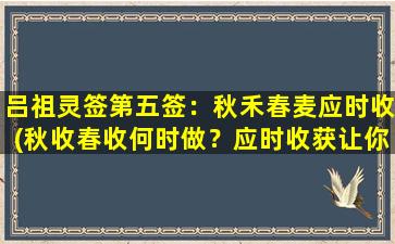 吕祖灵签第五签：秋禾春麦应时收(秋收春收何时做？应时收获让你轻松搞定SEO！)