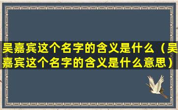 吴嘉宾这个名字的含义是什么（吴嘉宾这个名字的含义是什么意思）