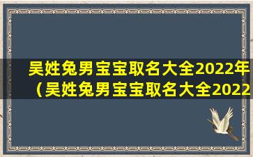 吴姓兔男宝宝取名大全2022年（吴姓兔男宝宝取名大全2022年出生）