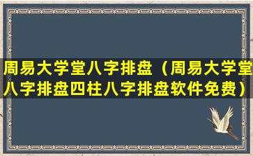 周易大学堂八字排盘（周易大学堂八字排盘四柱八字排盘软件免费）