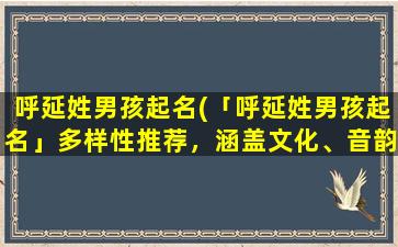 呼延姓男孩起名(「呼延姓男孩起名」多样性推荐，涵盖文化、音韵、寓意等要素)