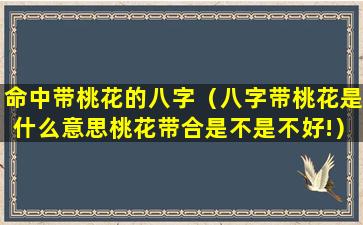 命中带桃花的八字（八字带桃花是什么意思桃花带合是不是不好!）