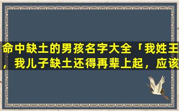 命中缺土的男孩名字大全「我姓王，我儿子缺土还得再辈上起，应该叫王正什么zui好」