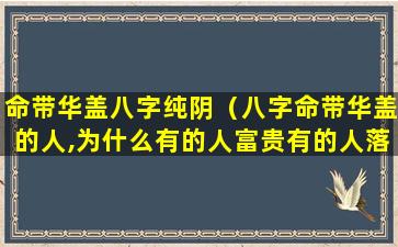 命带华盖八字纯阴（八字命带华盖的人,为什么有的人富贵有的人落魄）